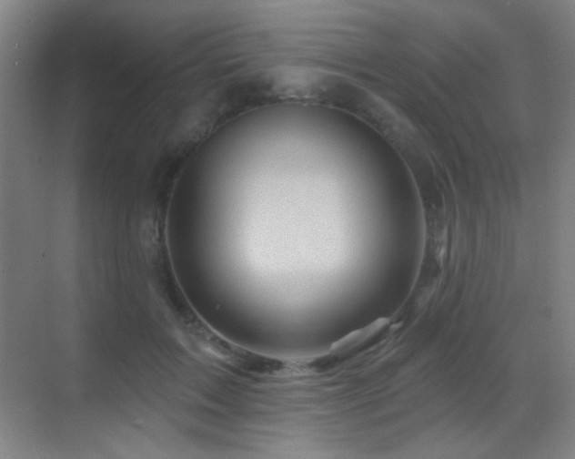 X0000070420603200606091240