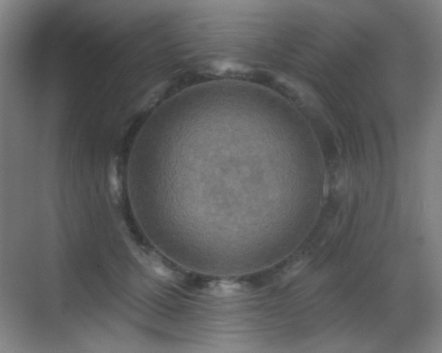 X0000070420607200606091240