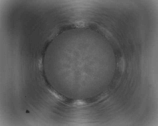 X0000070420610200606091240