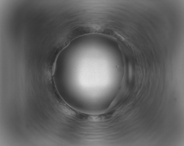 X0000070420613200606091240