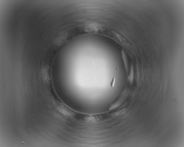 X0000070420616200606091240