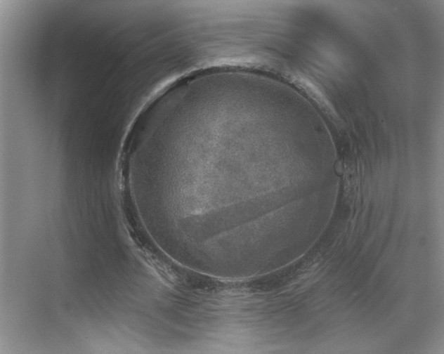 X0000070420628200606091239