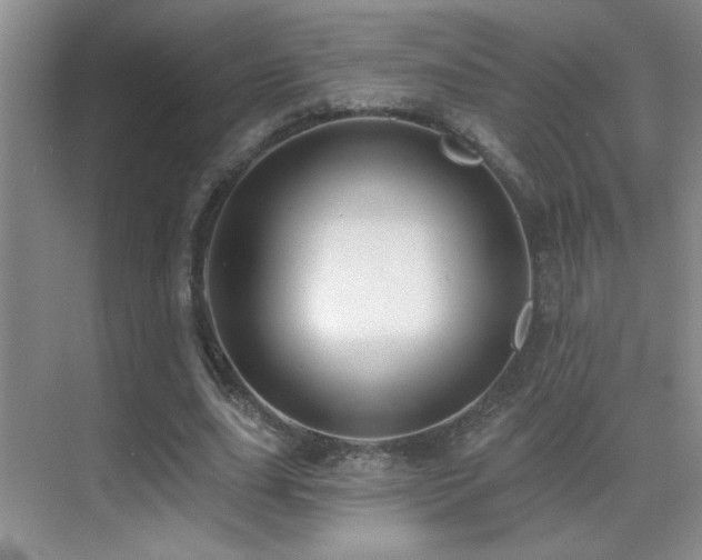 X0000070420631200606091239