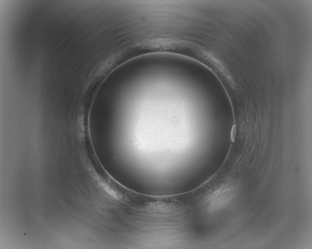 X0000070420633200606091239