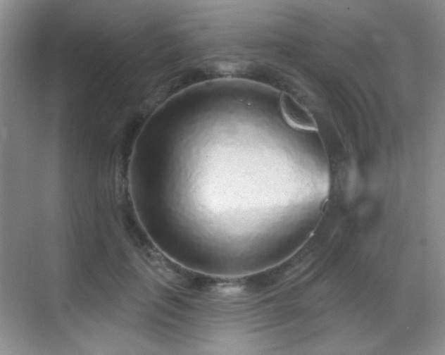X0000070420651200606091239