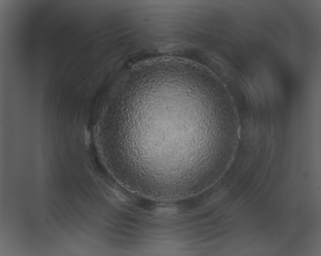 X0000070420653200606091239