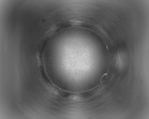 X0000070420655200606091239