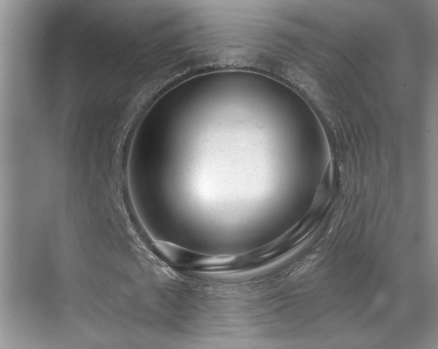 X0000070420673200606091239