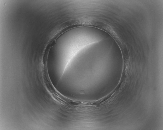 X0000070420674200606091239
