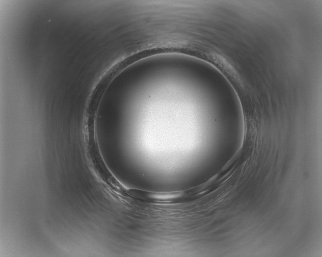 X0000070420676200606091239