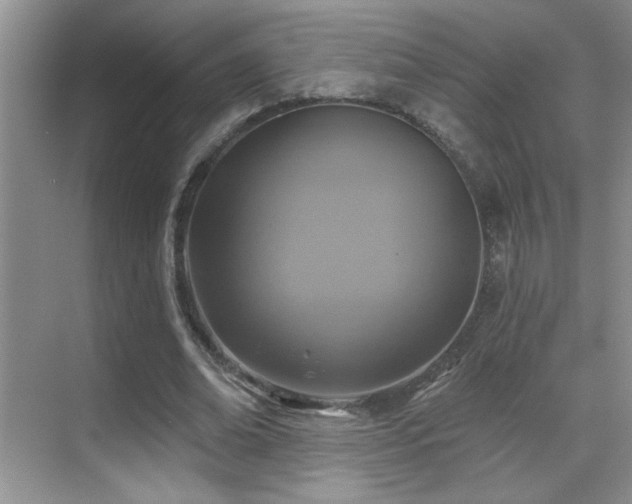 X0000070420678200606091239