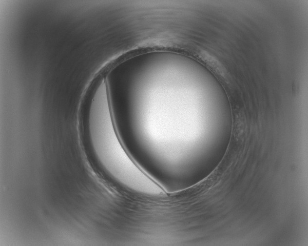 X0000070420680200606091238