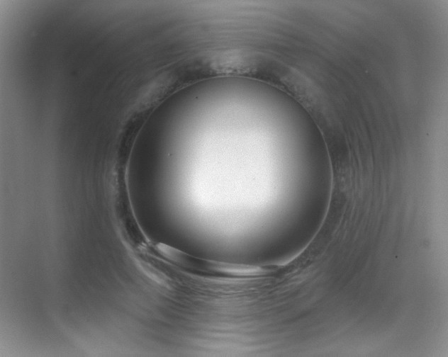 X0000070420690200606091238