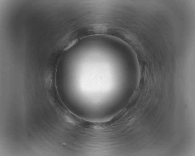 X0000070420697200606091238