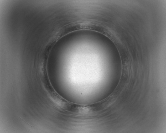 X0000070420698200606091238