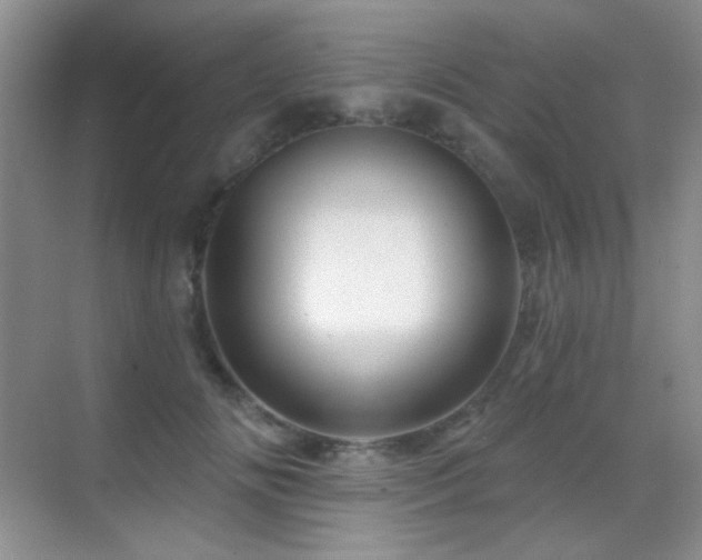 X0000070420702200606091238