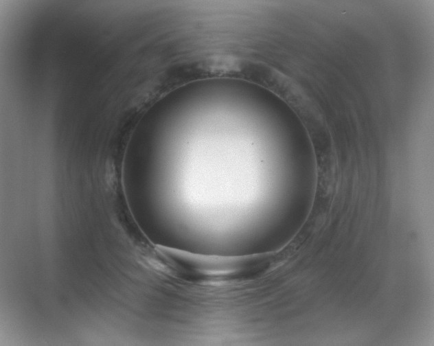X0000070420704200606091238