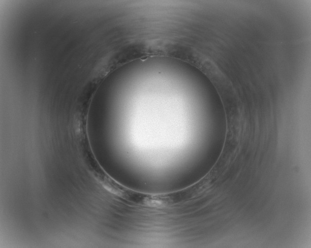 X0000070420706200606091238