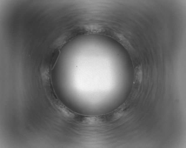 X0000070420713200606091238
