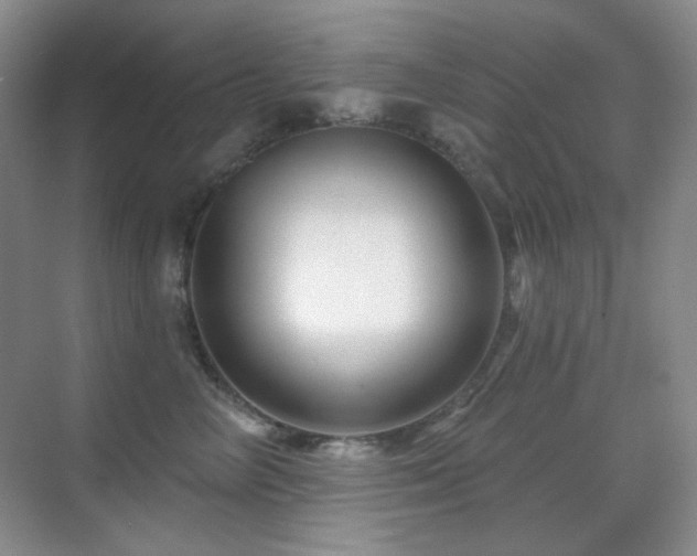 X0000070420714200606091238