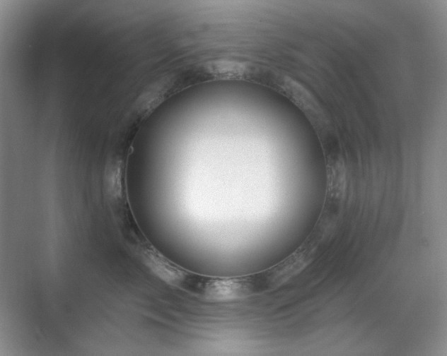X0000070420717200606091238