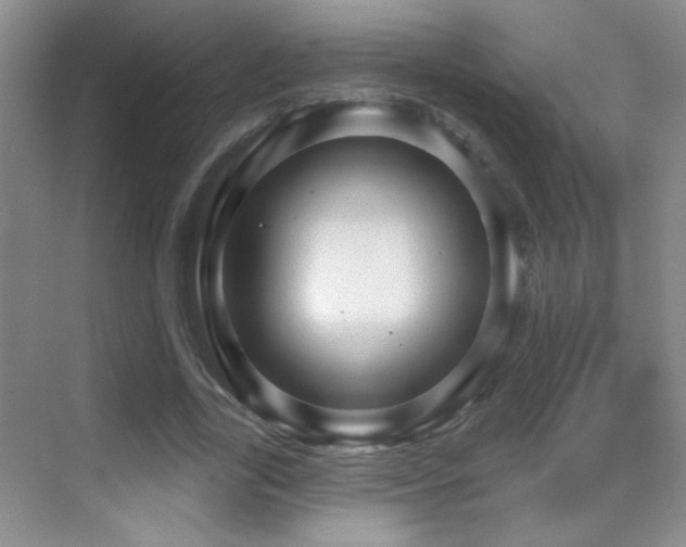 X0000070420731200606091237