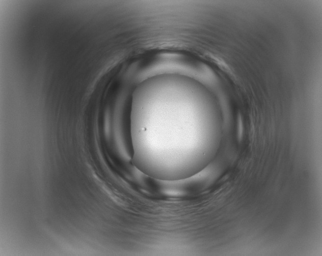 X0000070420735200606091237