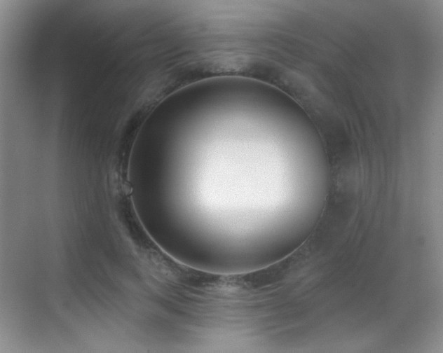 X0000070420743200606091237