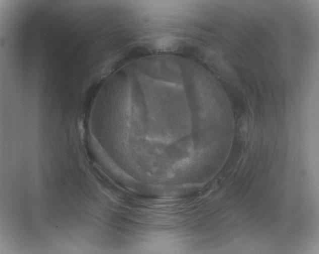 X0000070420746200606091237