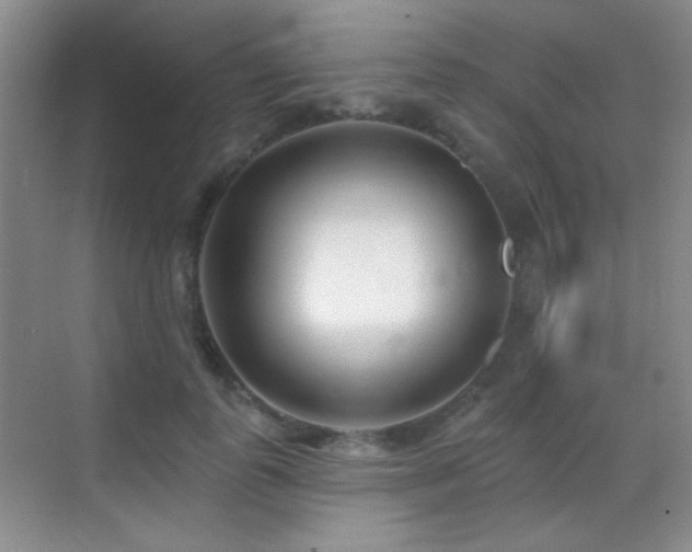 X0000070420747200606091237