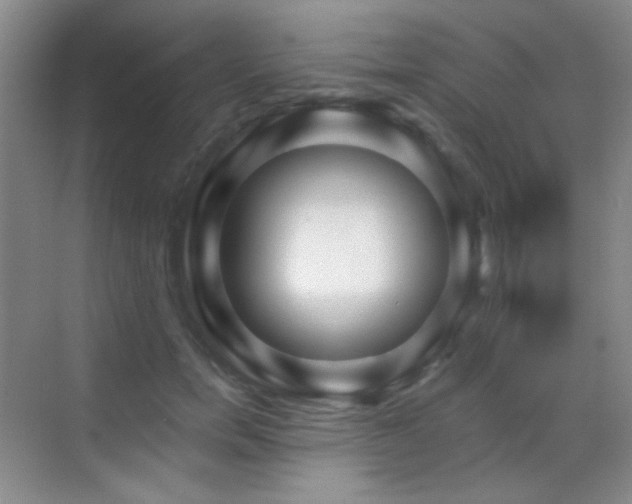 X0000070420750200606091237