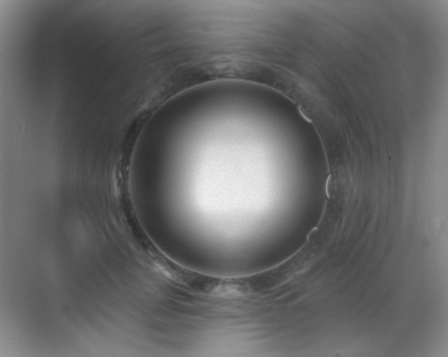 X0000070420751200606091237