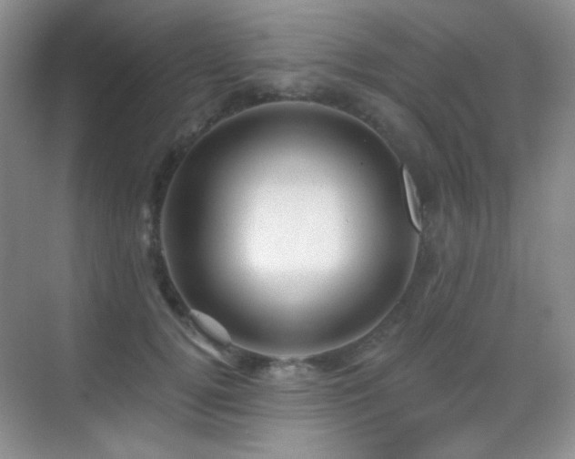X0000070420752200606091238