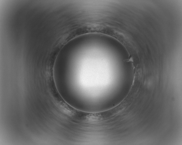 X0000070420756200606091238