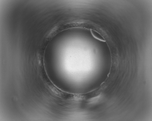 X0000070420758200606091238