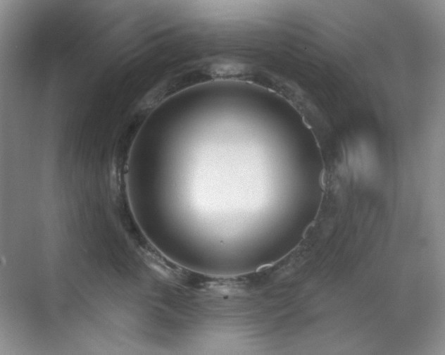 X0000070420763200606091238