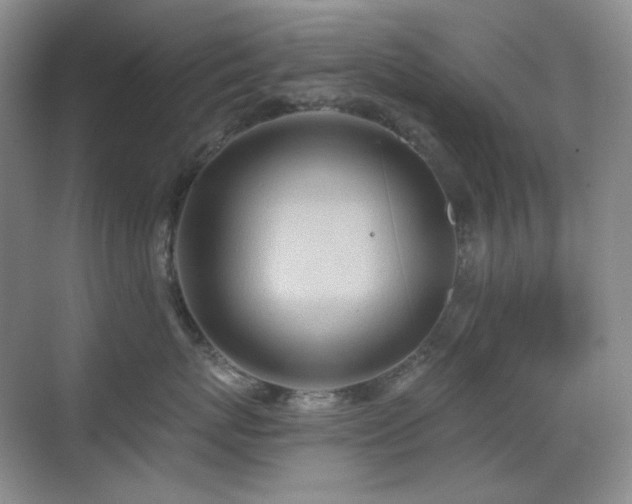 X0000070420767200606091238