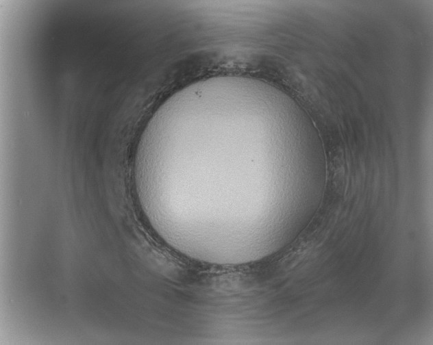 X0000070420769200606091237