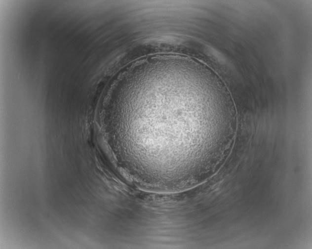 X0000070420774200606091237