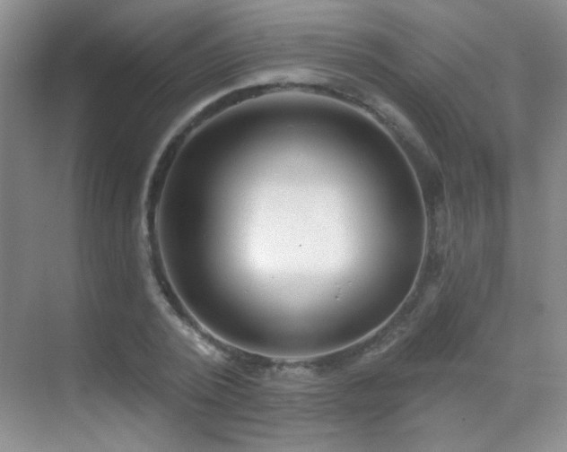 X0000070420784200606091237
