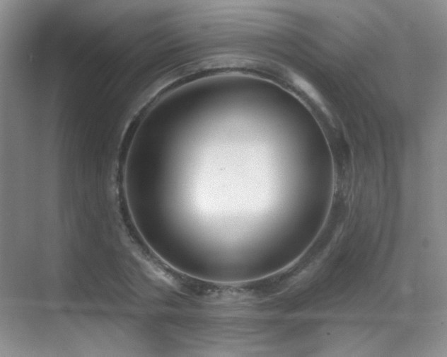 X0000070420786200606091237