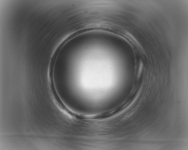 X0000070420788200606091237