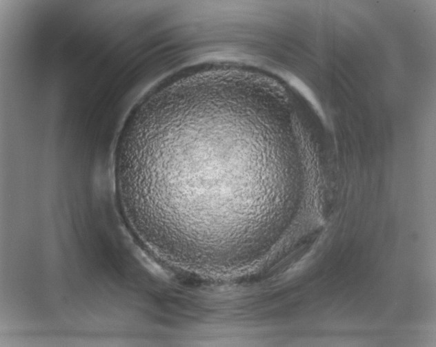 X0000070420791200606091237