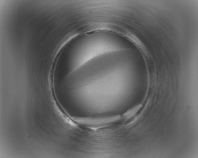 X0000070420806200606091236