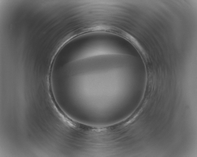 X0000070420810200606091236