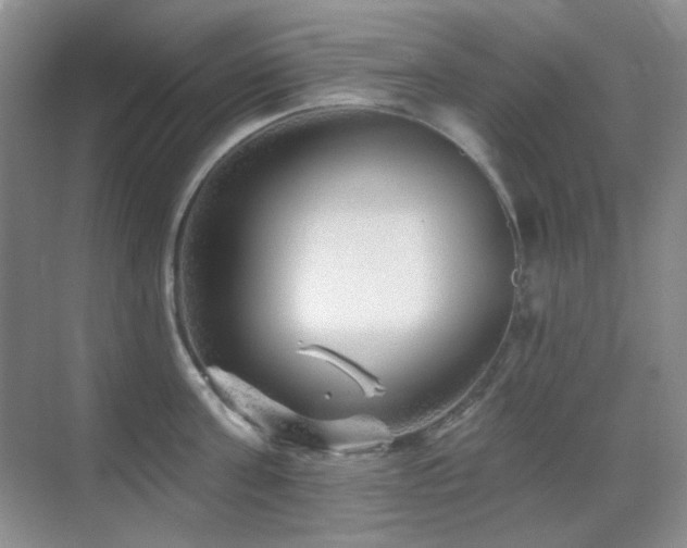 X0000070420811200606091236