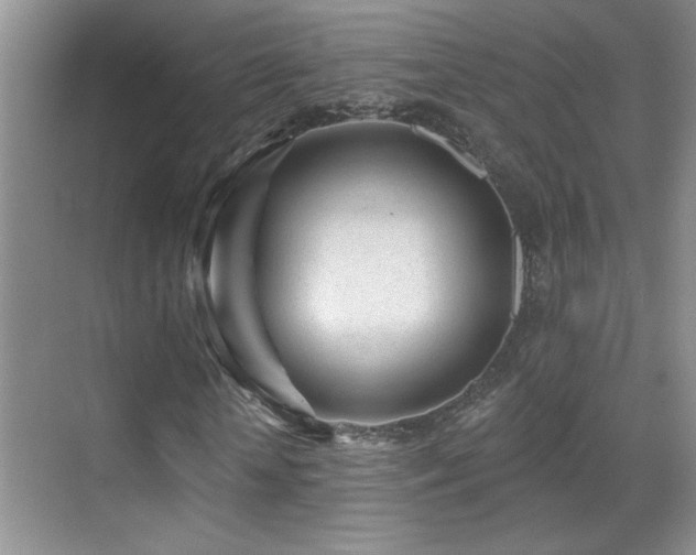 X0000070420818200606091235