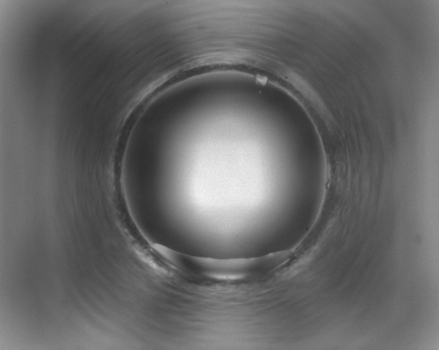 X0000070420834200606091236