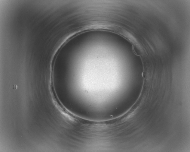 X0000070420844200606091236