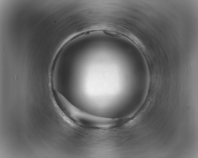 X0000070420854200606091236
